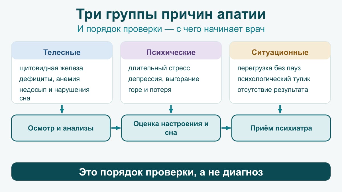 Схема: три группы причин апатии — телесные, психические, ситуационные — и три шага проверки: анализы, оценка настроения и сна, приём психиатра